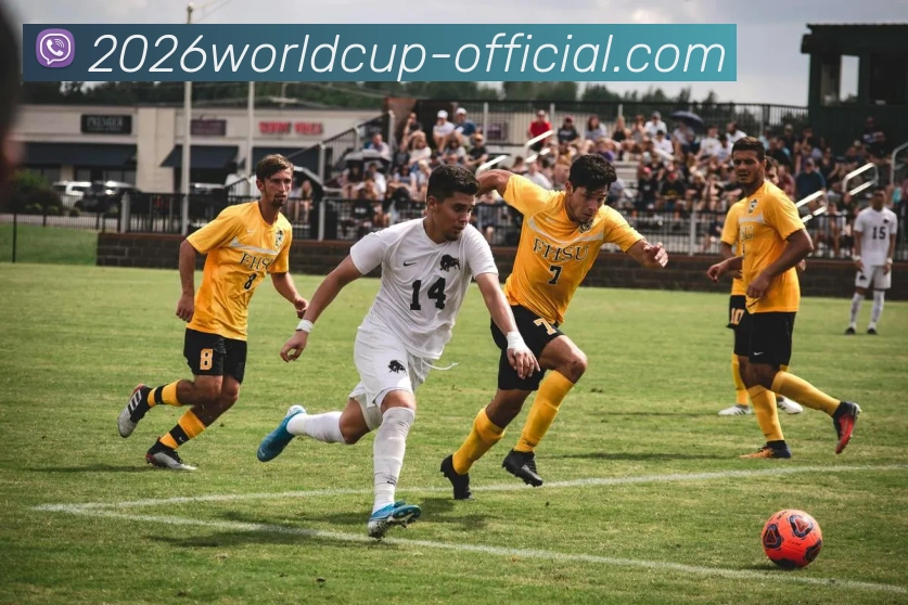 世界杯官方APP 体育赛事宣传图